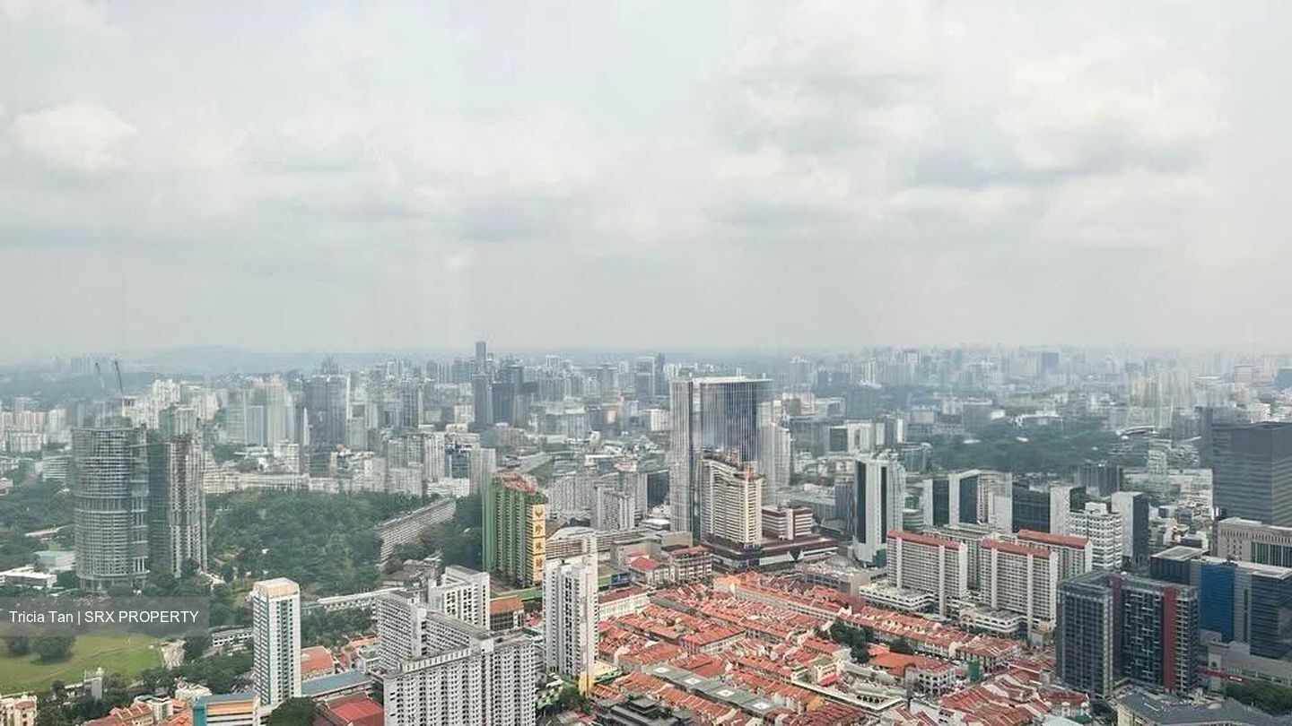 Wallich Residence  (D2), Condominium #626552311